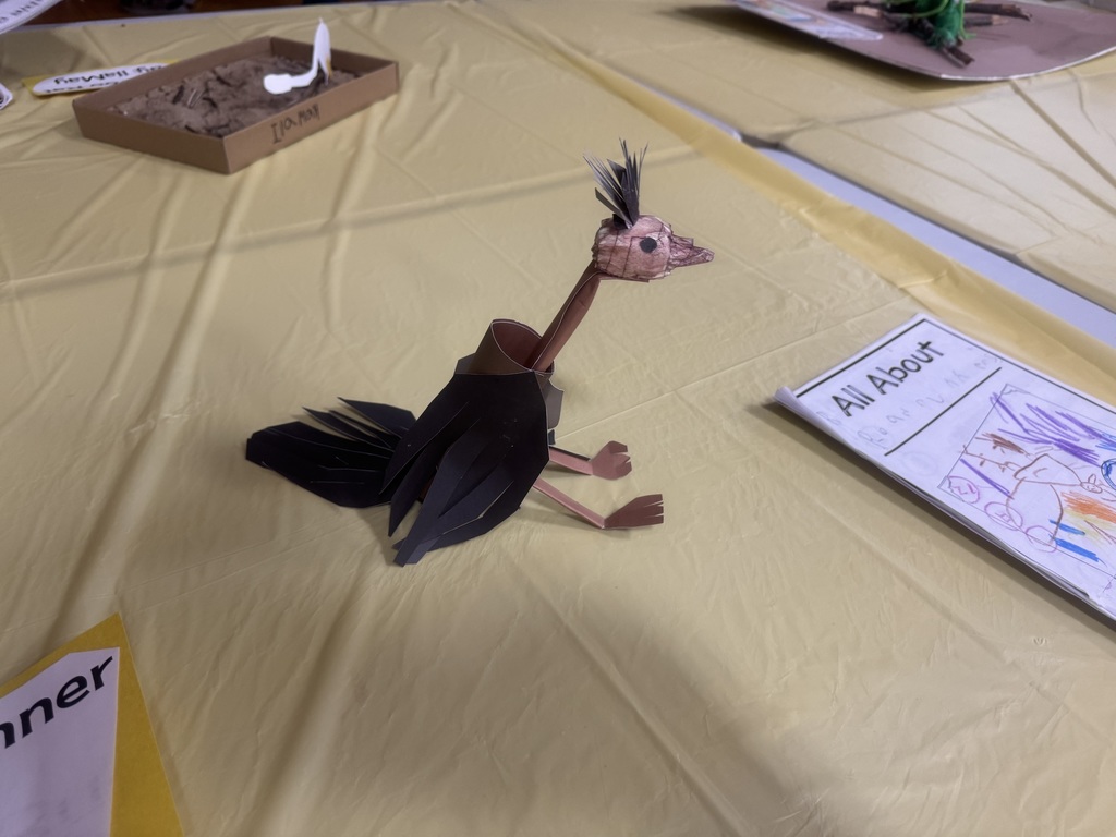Science Night