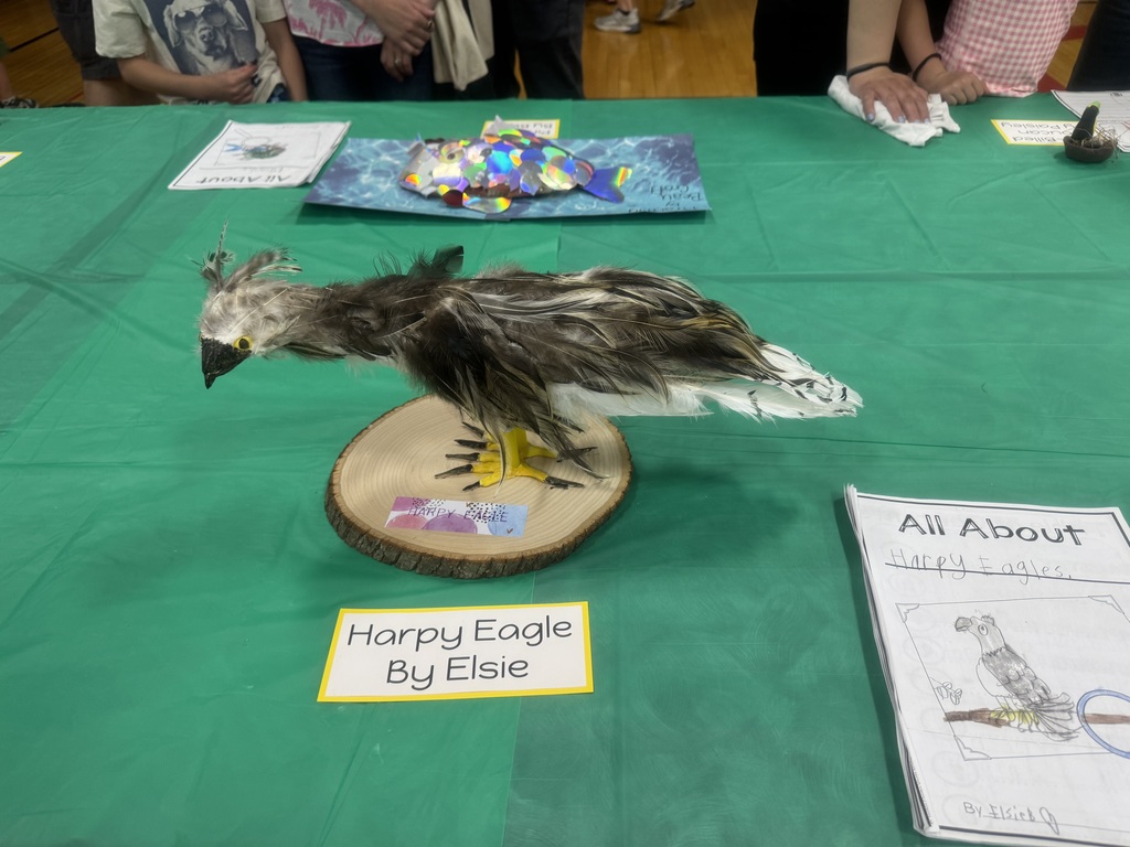 Science Night