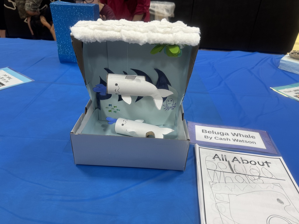 Science Night