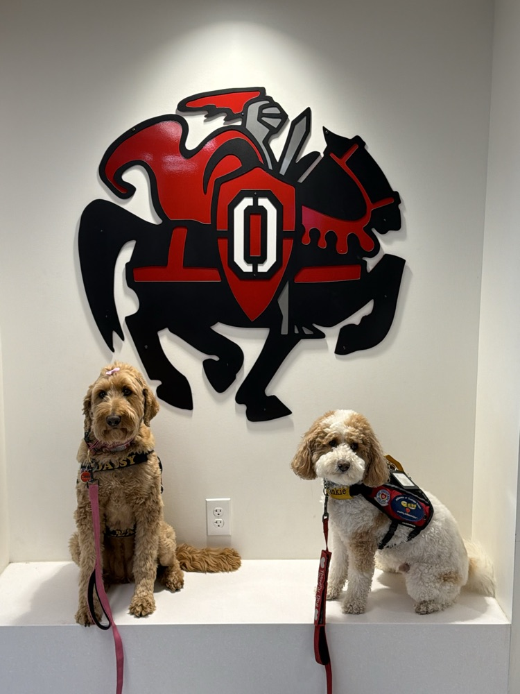 dogs