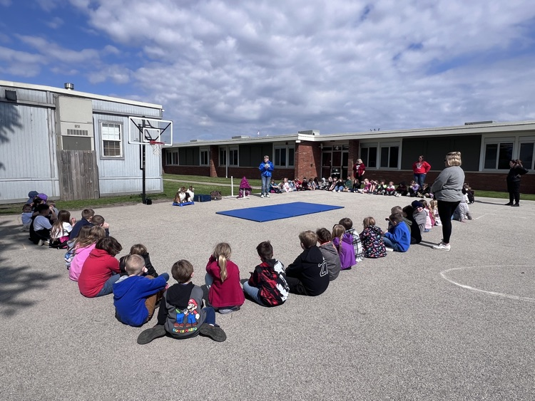 dogs