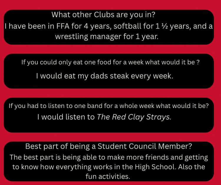survey