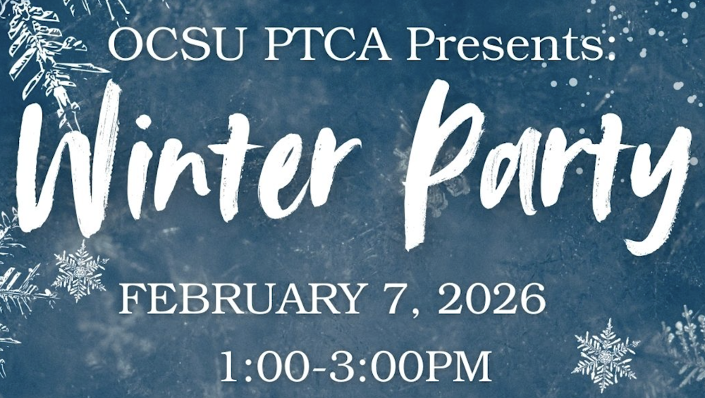 Advertisement: Winter Party