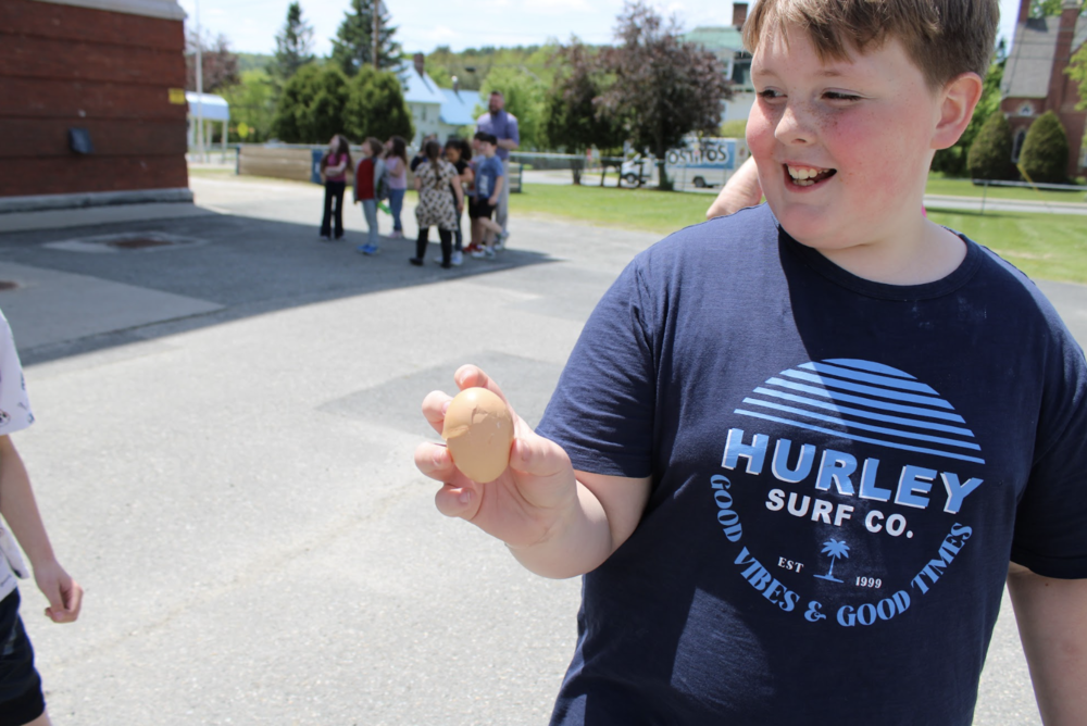 egg drop