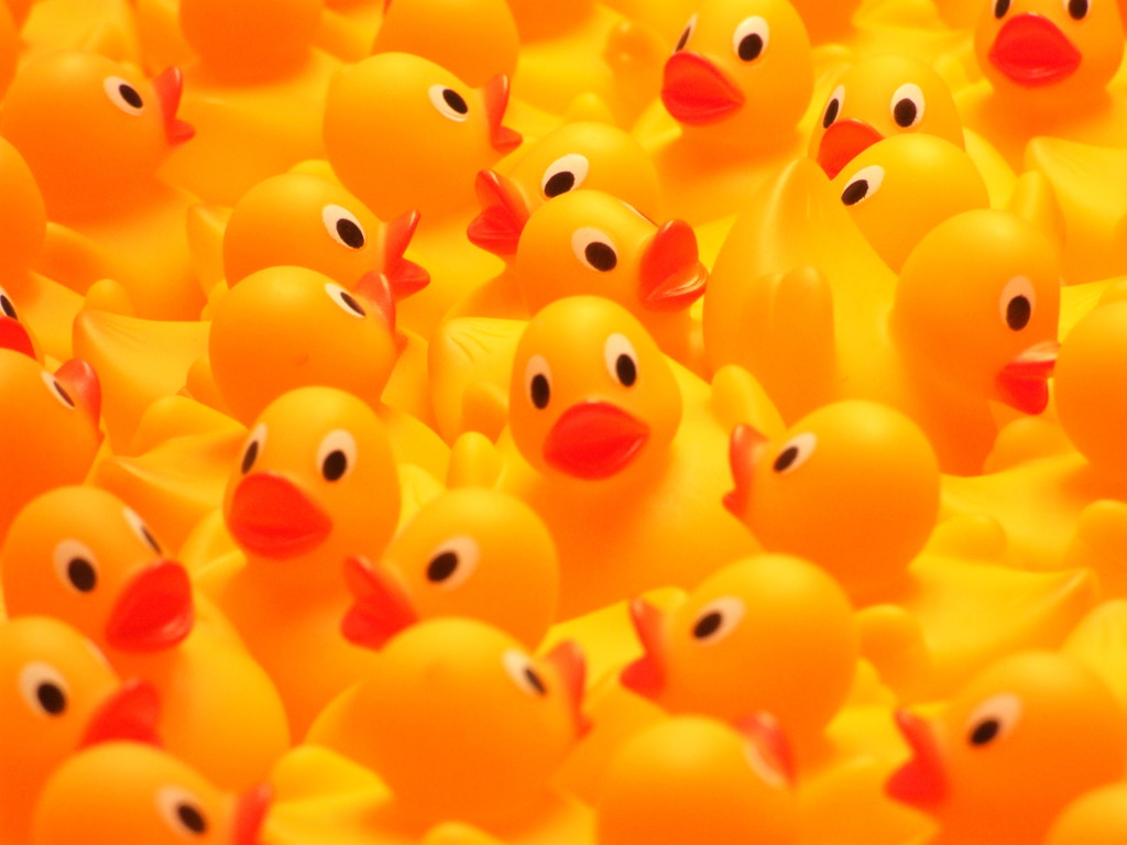 rubber ducks