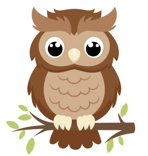 owl