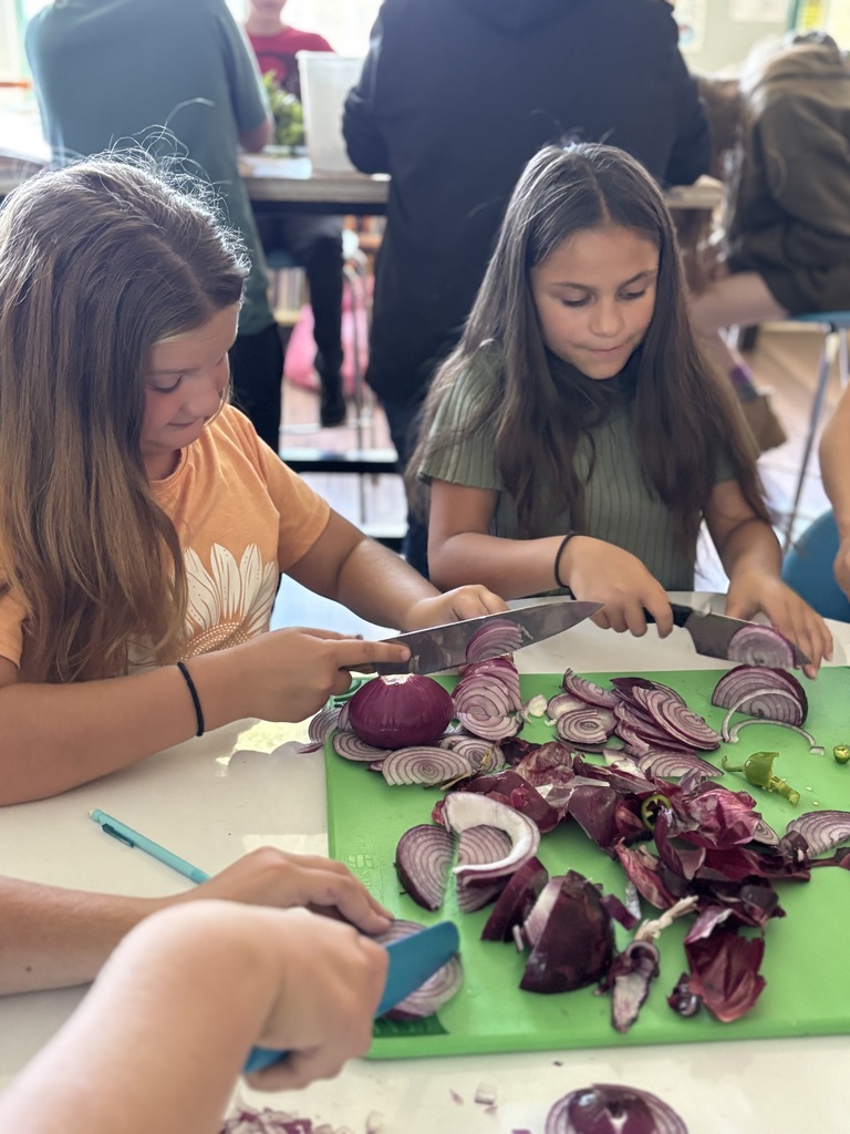 two 6th grader girls are chopping onions in the classroom