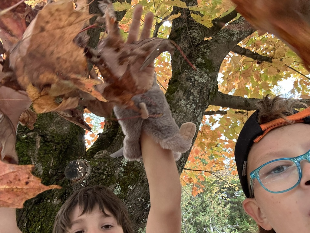 Fall leaves with students