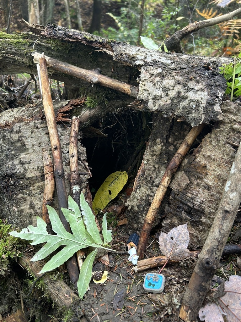 Fairy house in the woods