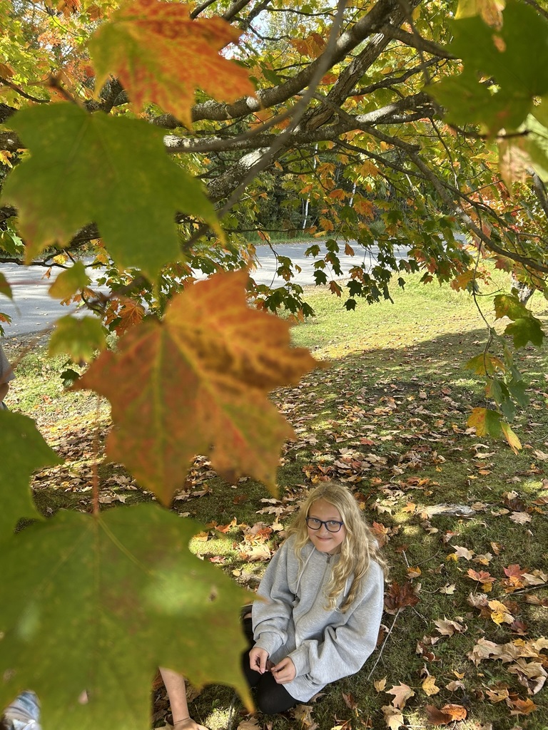 Fall leaves with student