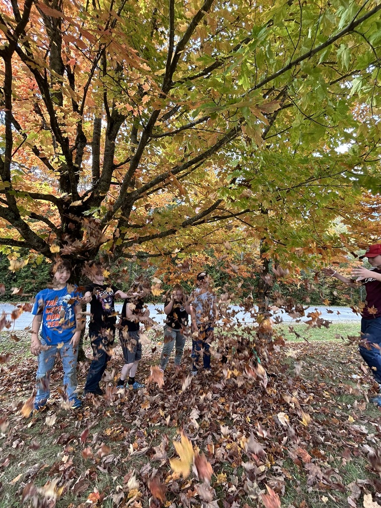 Students throwing leaves 