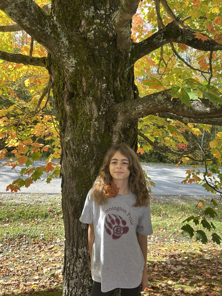 Fall leaves with student