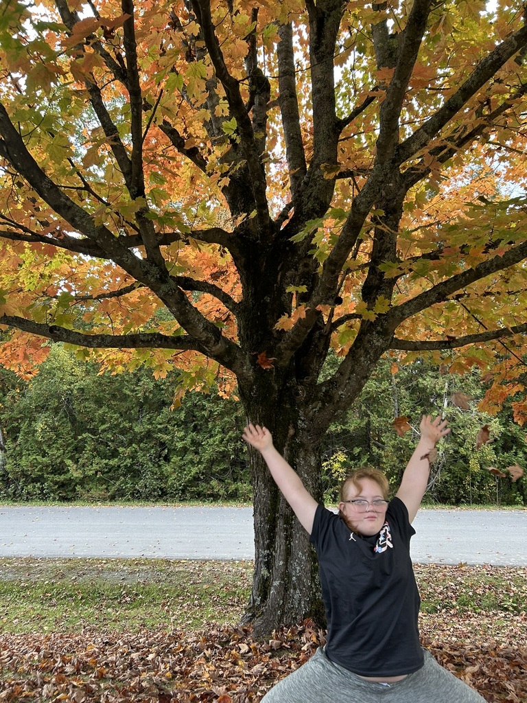Fall leaves with student
