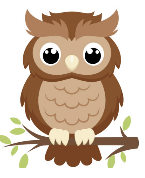 owl