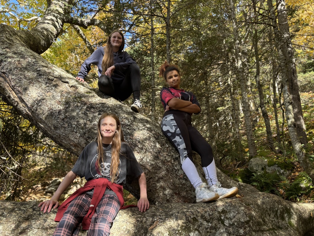 Students posing on a tree