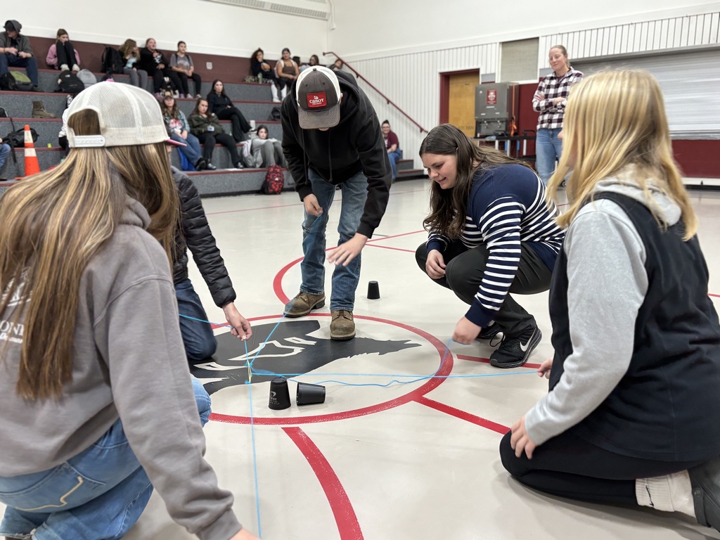 8th grade students working on the cup challenge together
