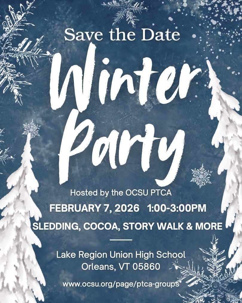 winter party flyer