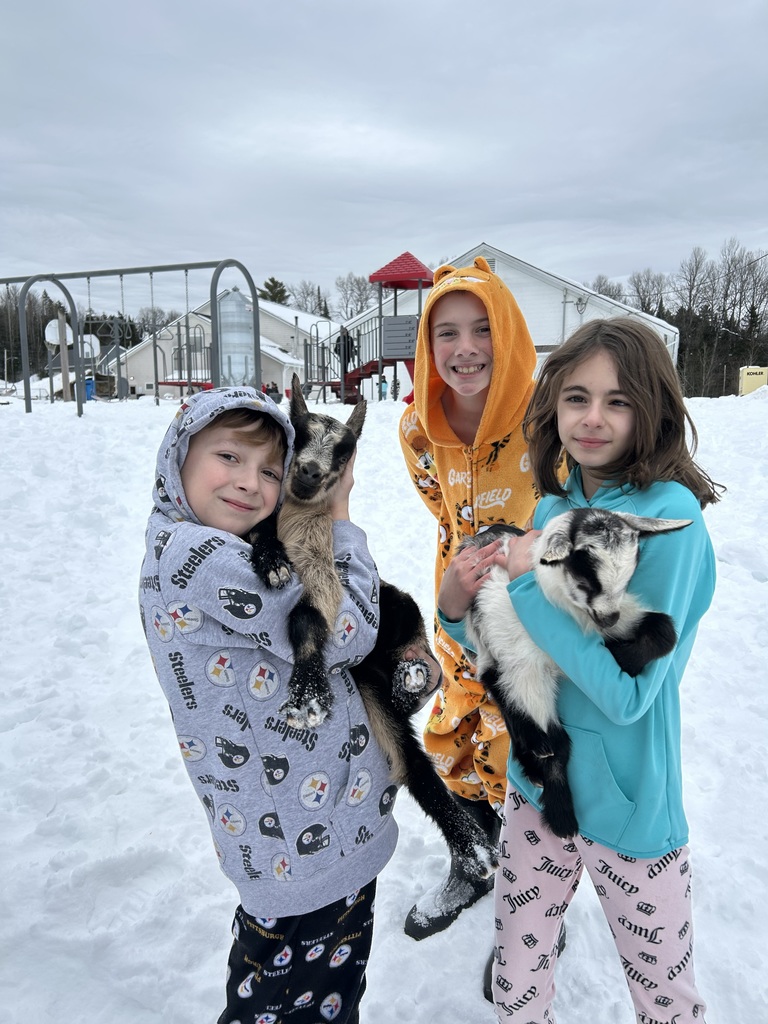 winter time sledding and baby goats