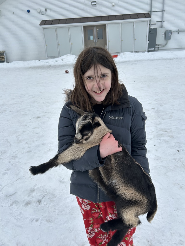 winter time sledding and baby goats