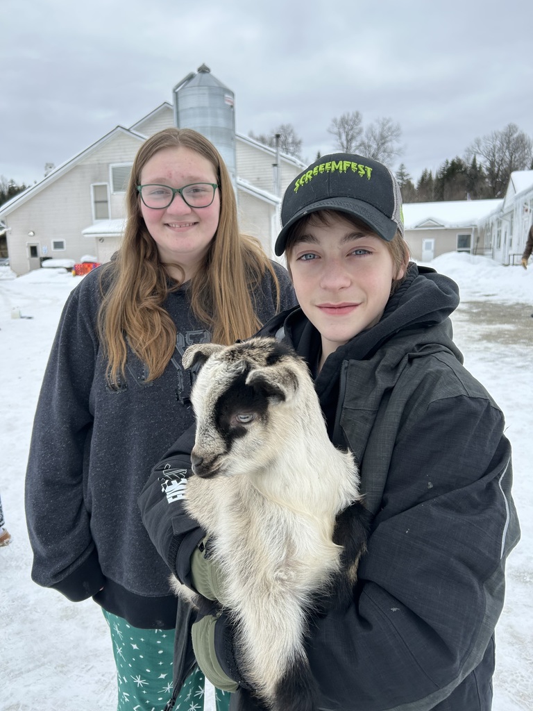 winter time sledding and baby goats