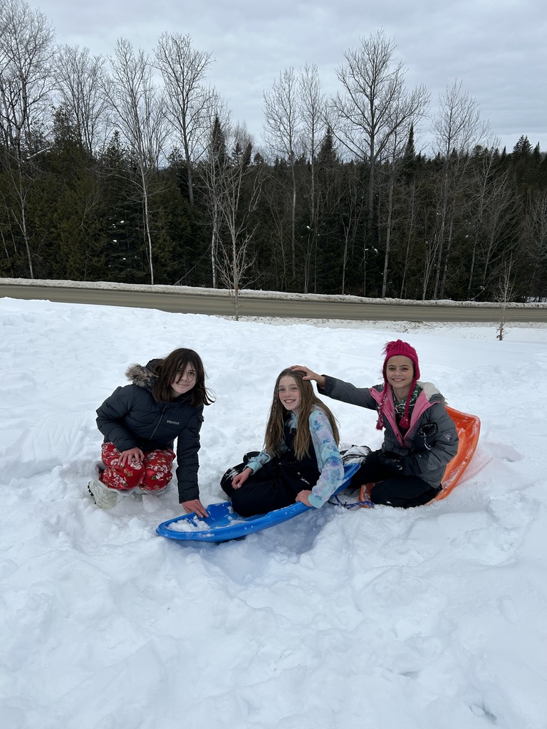winter time sledding and baby goats