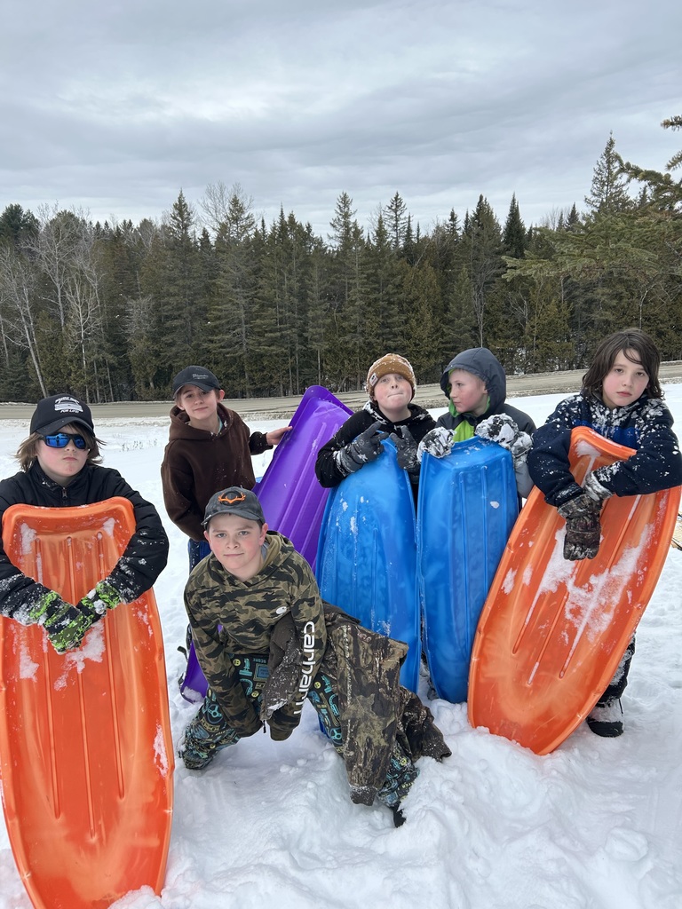 winter time sledding and baby goats