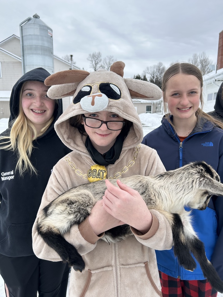 winter time sledding and baby goats
