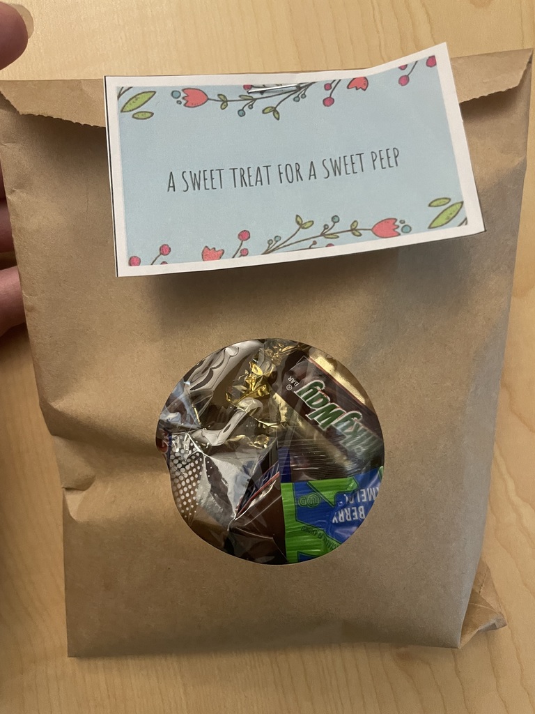 treat bag 