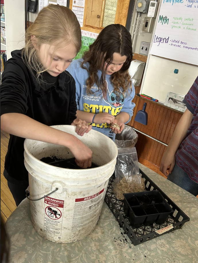 planting