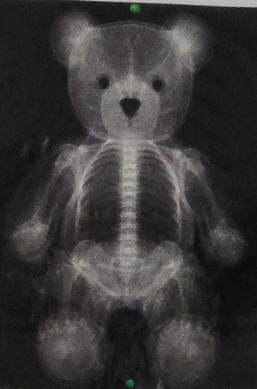 teddy bear clinic