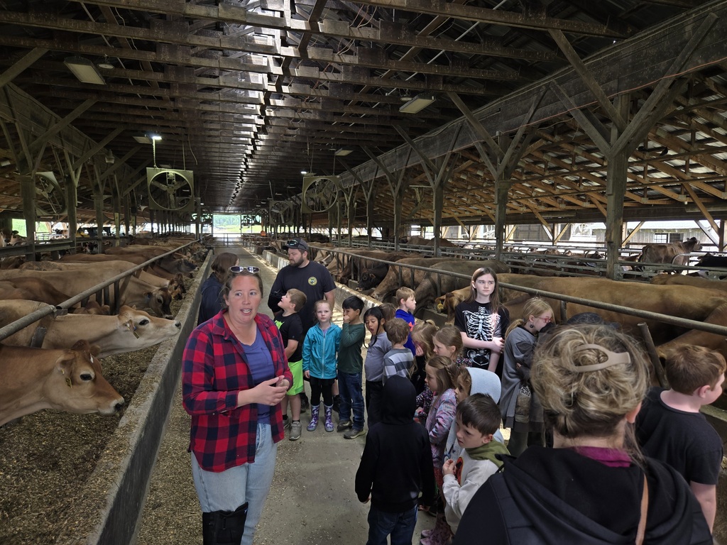 students listening to worker on farm talk about cows and observing cows