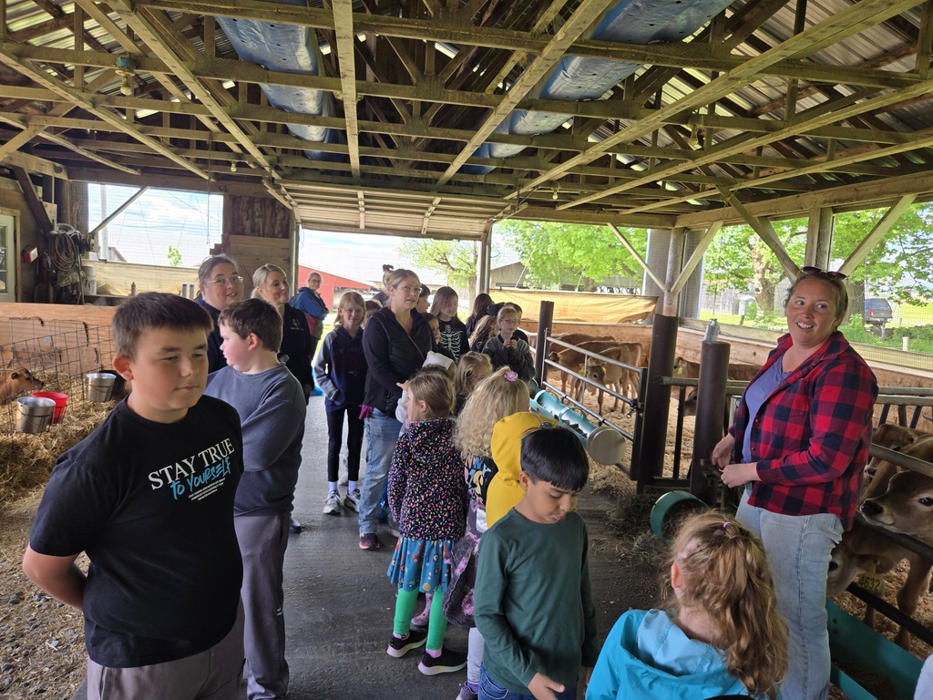 students listening to worker on farm talk about cows and observing cows at the farm