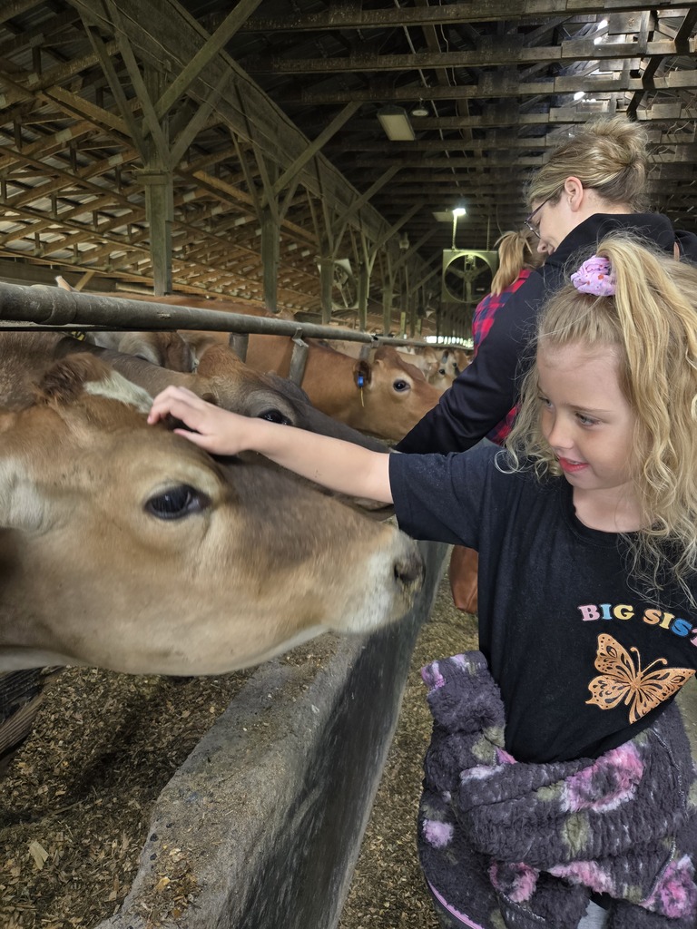 student petting cow 