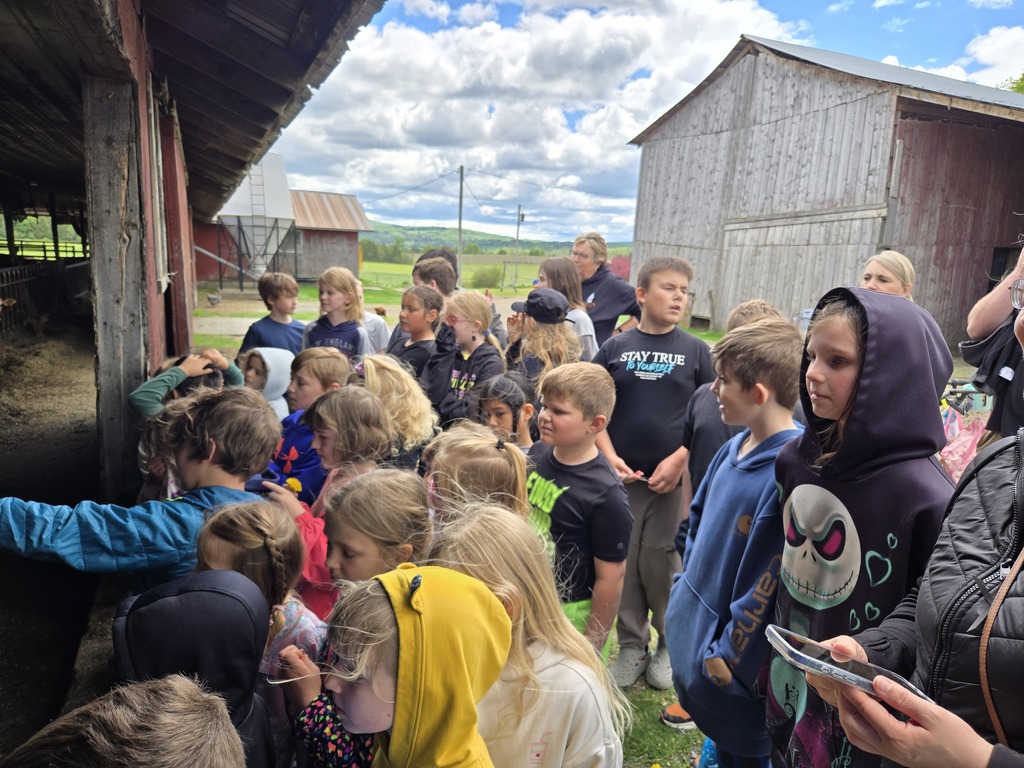 Kindergarten and 4th grade observing cows 
