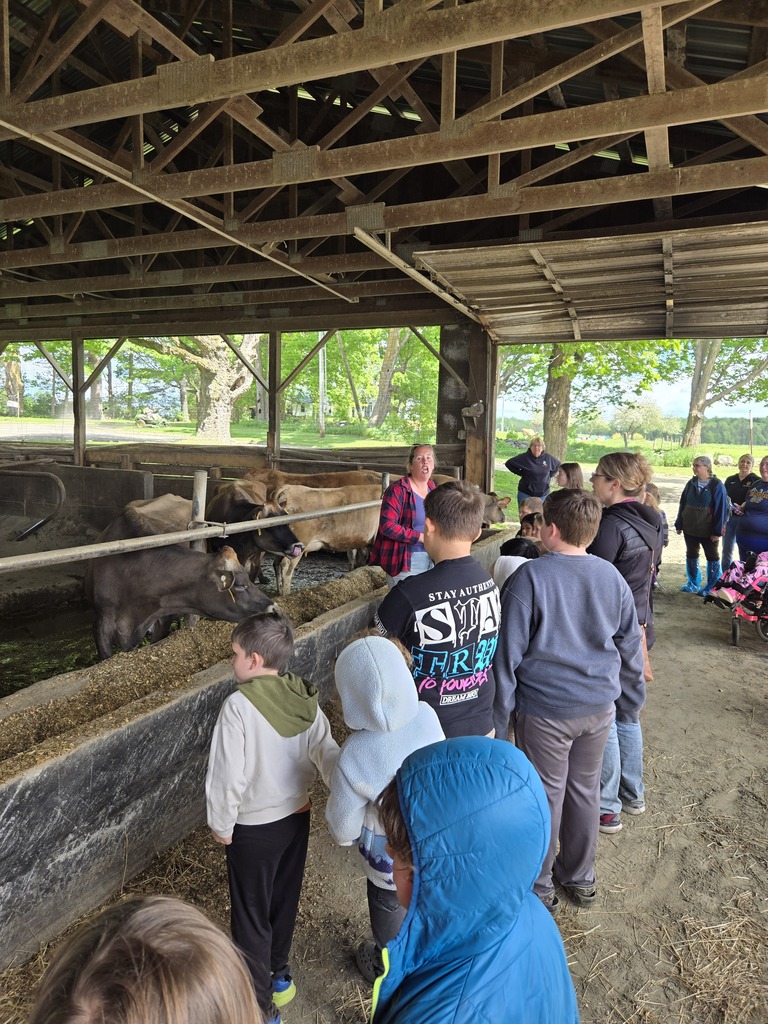 students listening to worker on farm talk about cows