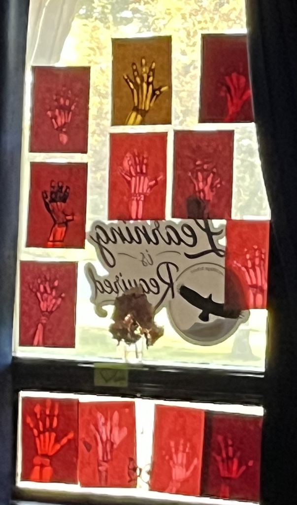4th grade science activity making x-rays of their hands