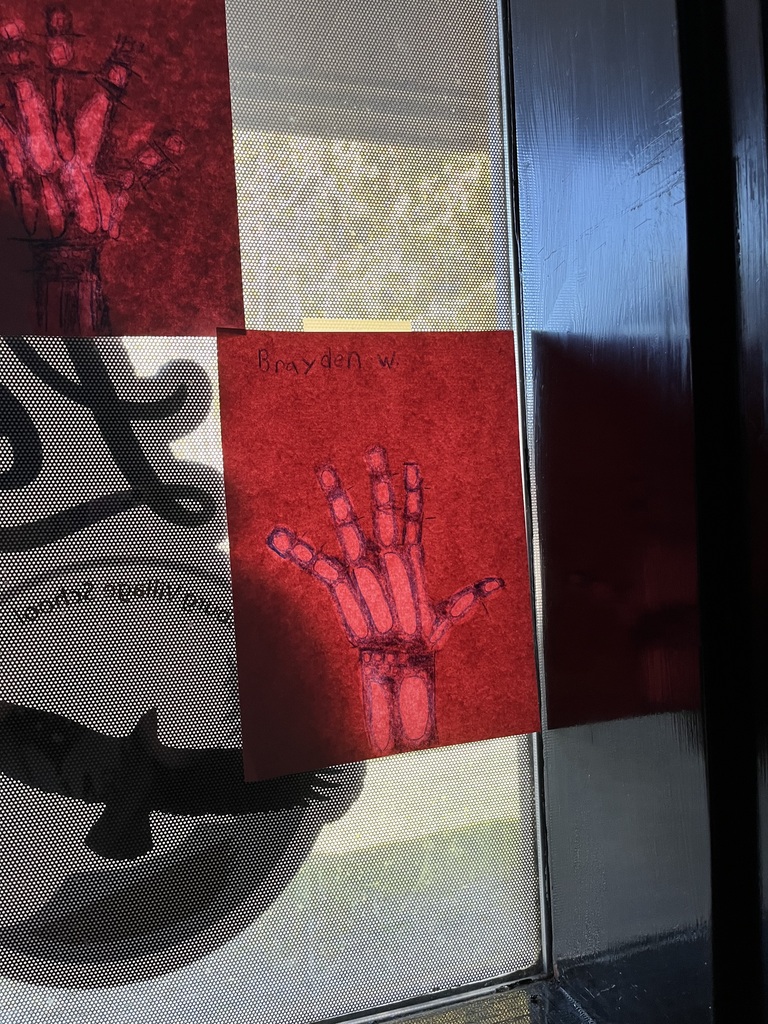 4th grade science activity making x-rays of their hand