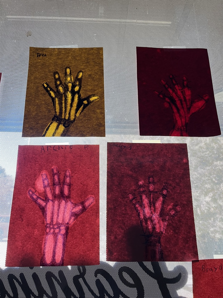 4th grade science activity making x-rays of their hand