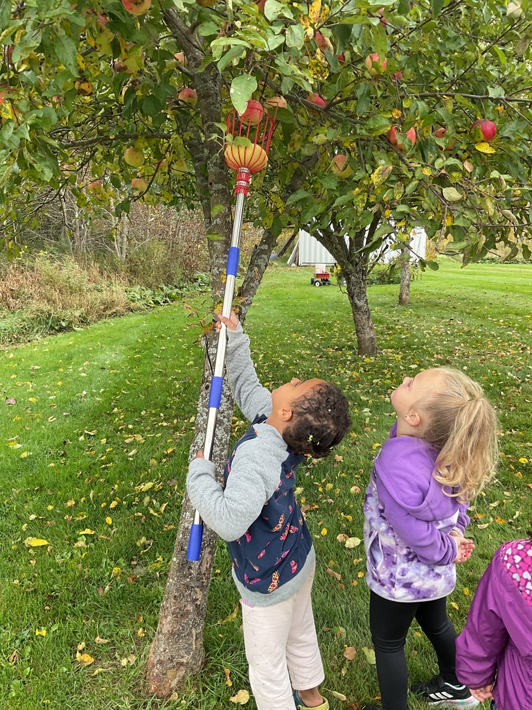 Fall Fest