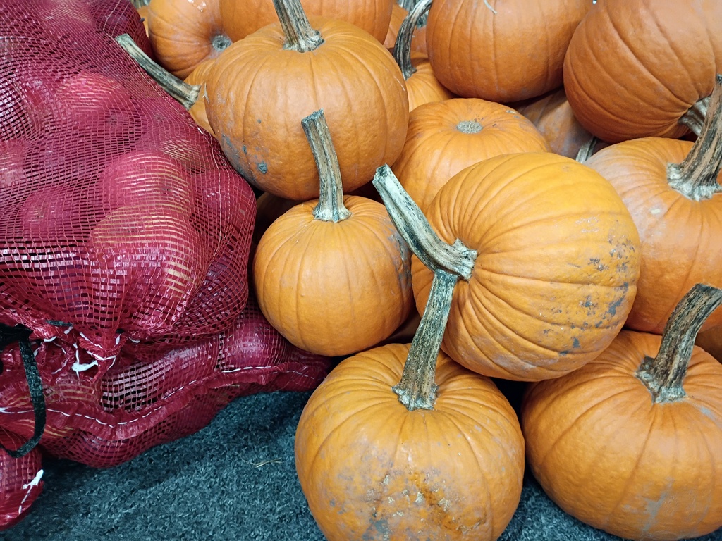 Pumpkins and Sacks of Apples