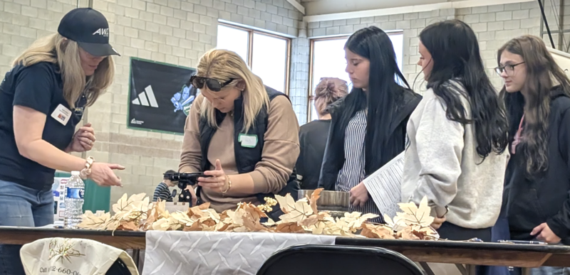 Students Checking Out Careers in Science