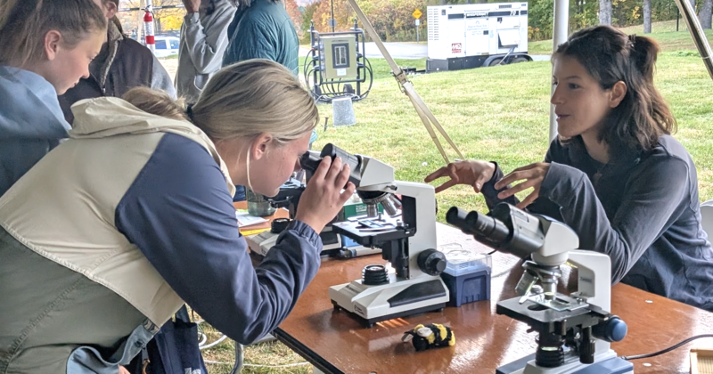 Student Using a Microscope