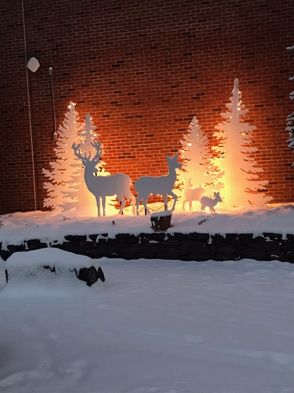 Winter Scene (Deer, Pine Trees) Lit Up at Night