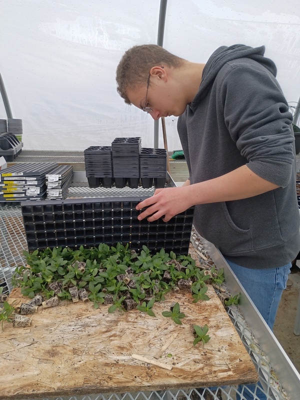 Getting Our Hands Dirty