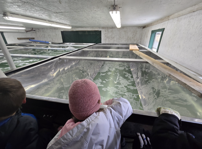 sugar house field trip