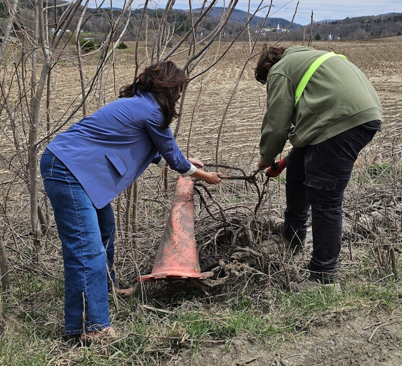 Collaborating to Clean Up