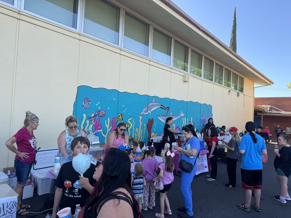 Spring Carnival