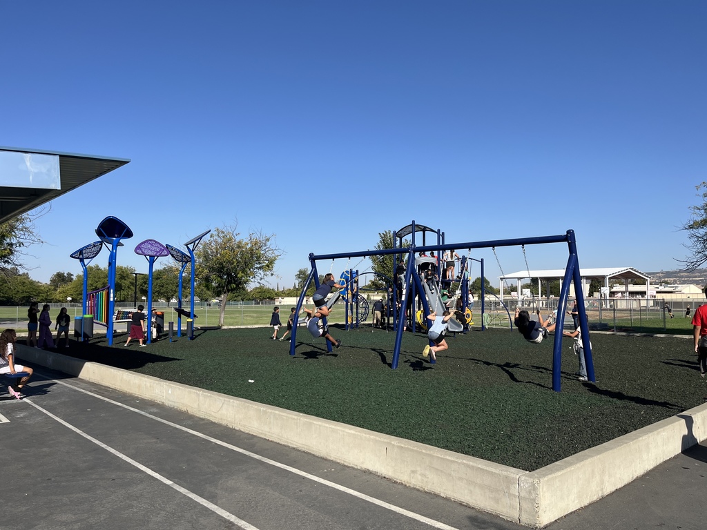 Photo of children on swings