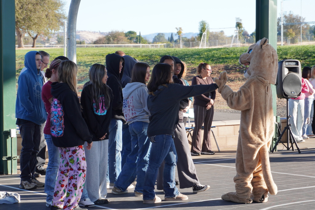 students high fiving the cougar mascot