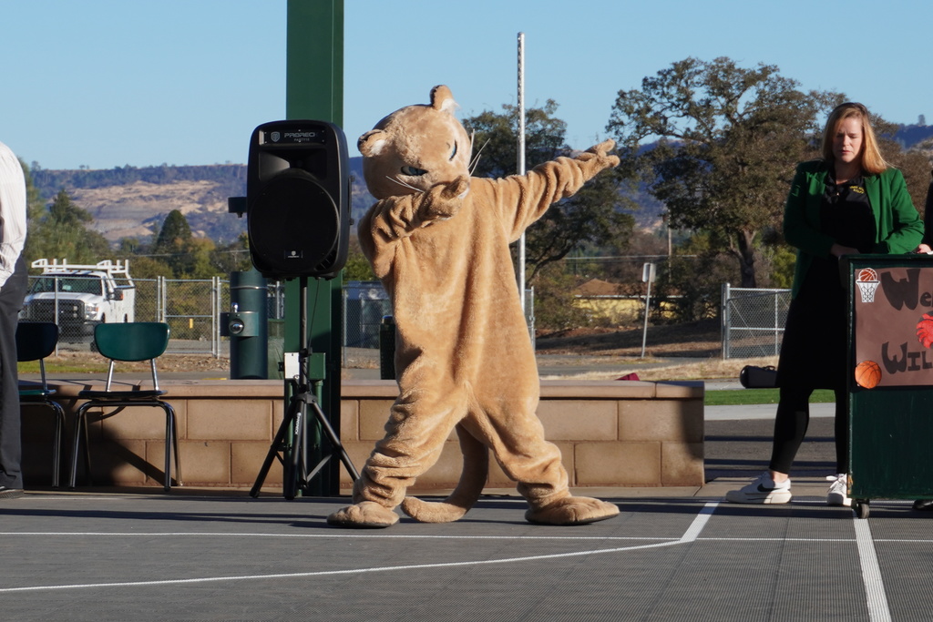 Ishi Hills Cougar mascot striking a pose